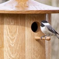 Birdhouses