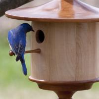 Birdhouses