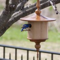 Birdhouses