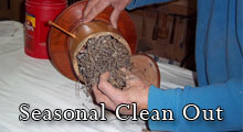Seasonal Clean Out